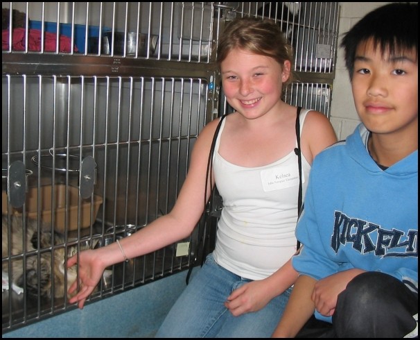 BCSPCA OCT 2006 012.jpg